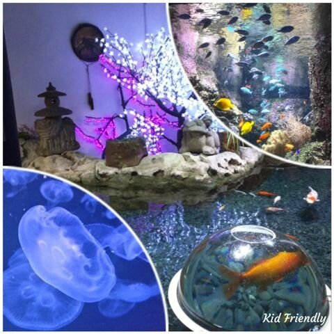 Aquarium de Paris ©Kid Friendly