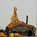 DSCN0293