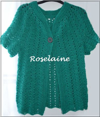 Roselaine144 gilet crochet