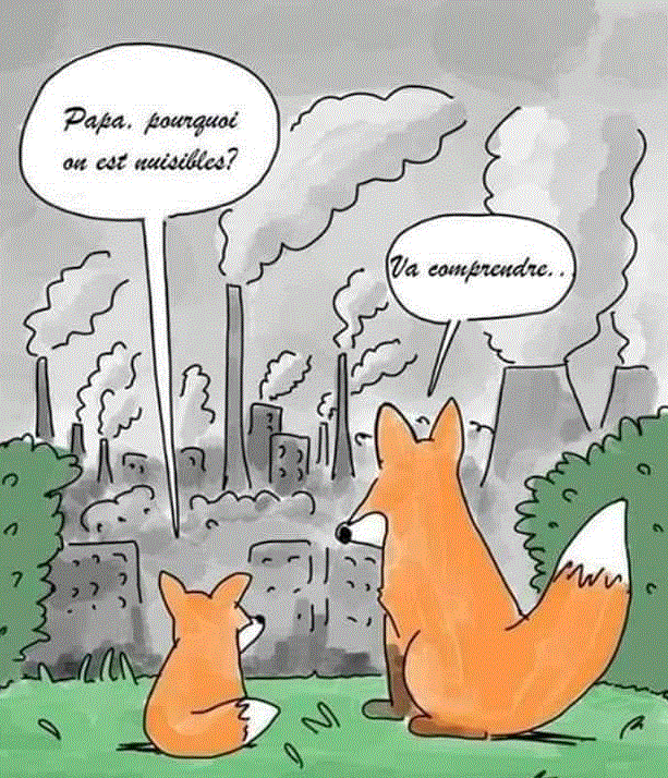 &aecologie10