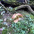 baer-23-07-14-08