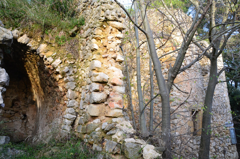 DSC_5891