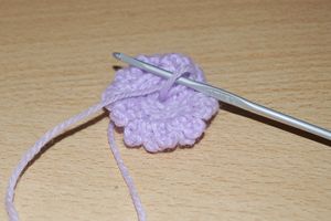 fleur_049