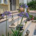 Au jardin