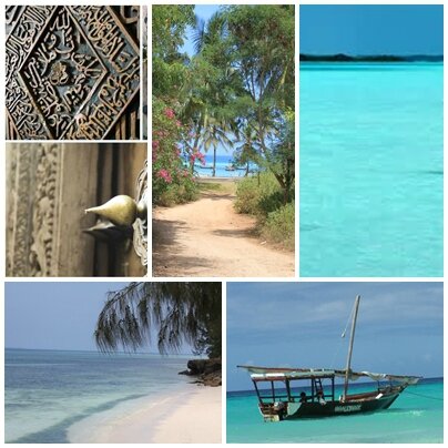 zanzibar dolphin view lodge