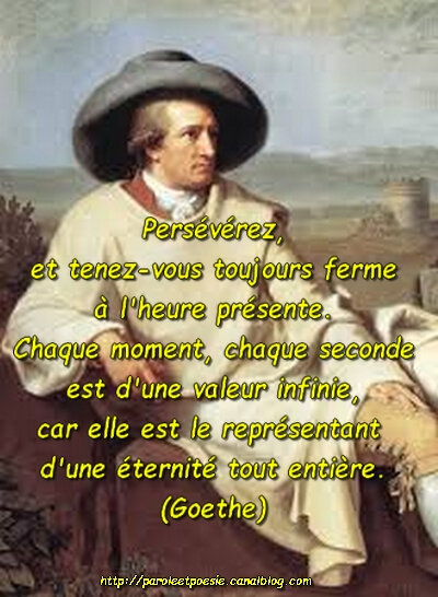 Perseverance Tenir Ferme Eternite Goethe Citation In Converssations 13 Vois Et Viens