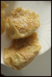 RP_raviolis_porc_frits_2