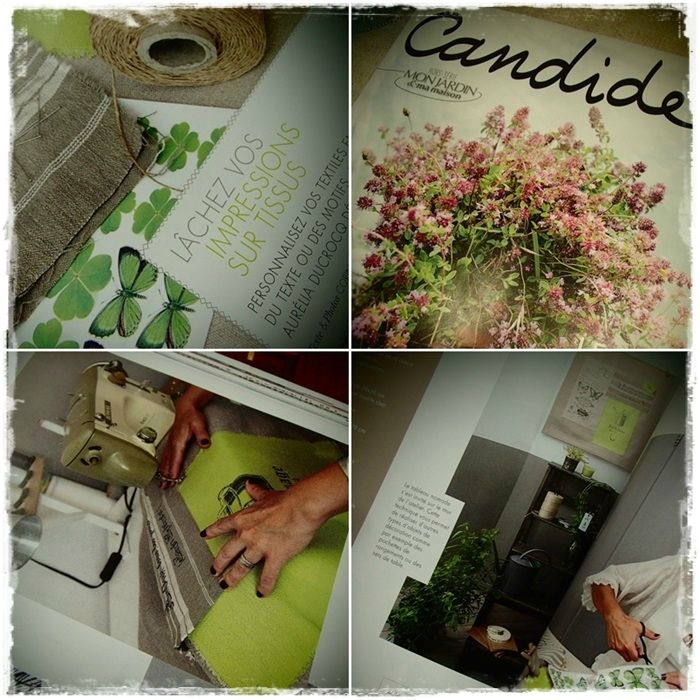 Candide 2013