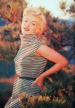 1954-PalmSprings-HarryCrocker_home-by_ted_baron-striped-010-2