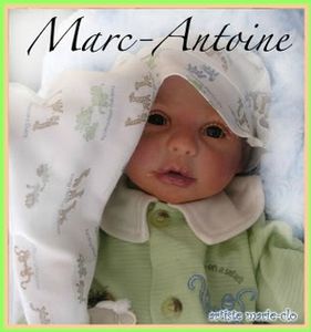 marcantoine01