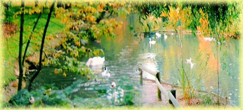 Au_bord_de_lo