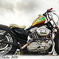 HDsportster883_tasunkaphotos2016_01