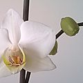 WP_20160407_024