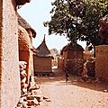 Image (3)