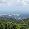 P1110246
