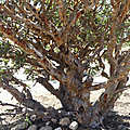 P1210108
