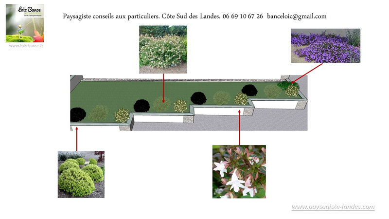 17-Concepteur-de-jardins-Mimbaste-40350-Paysagiste-Landes