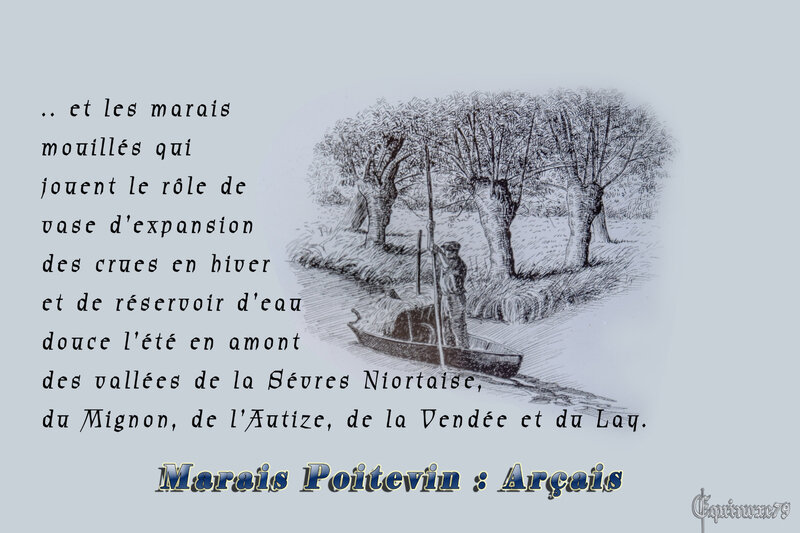 L' histoire du Marais-Poitevin, les premiers dessèchement du Bas Poitou