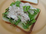 sandwich__8_