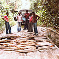 Image (8)