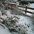 Le jardin sous la neige Hiver 2009 - 2010
