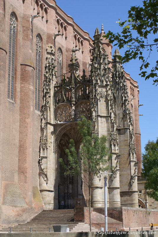 Albi cath porche arbre