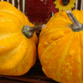 2010-10-02_230827