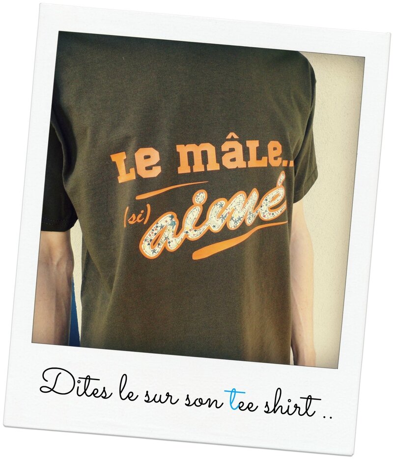 Flex tee shirt Mâle aimé Juin 2014