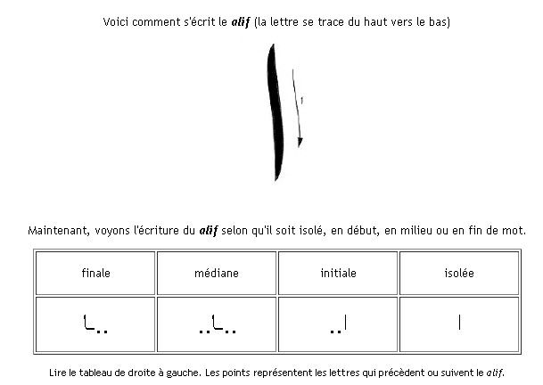 fin tacticien 8 lettres