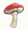 DDS 275 champignon