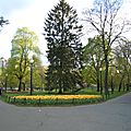 BOSTON COMMON PARK (117)