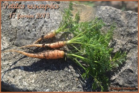 RESCAPé de fevrier