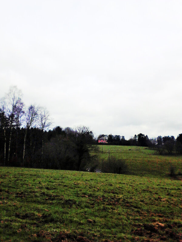 DSC_0006 (2)