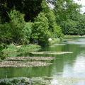 2010 - Sèvres & Ville d'Avray