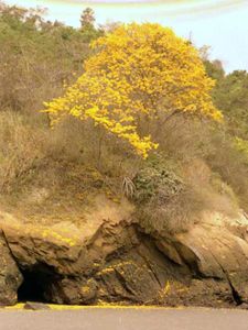 rencontre entre divorcés musulmans