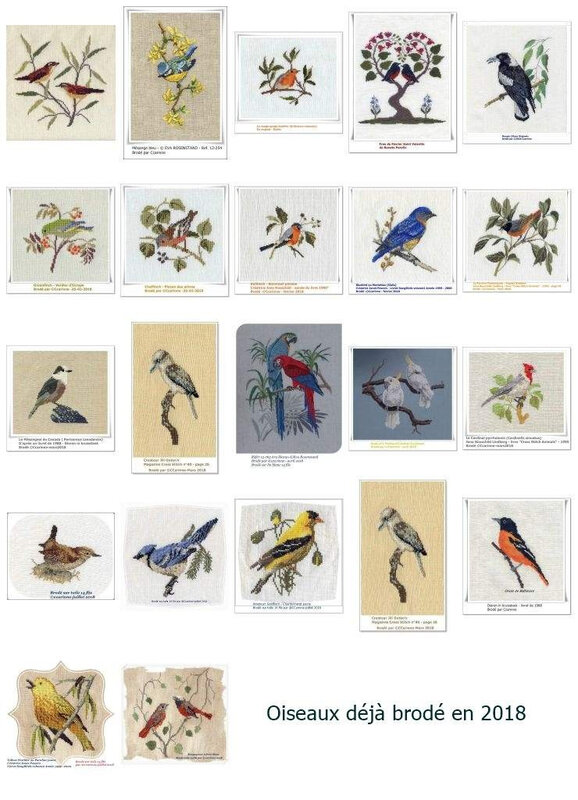 oiseau - Le Troglodyte familier 120899079