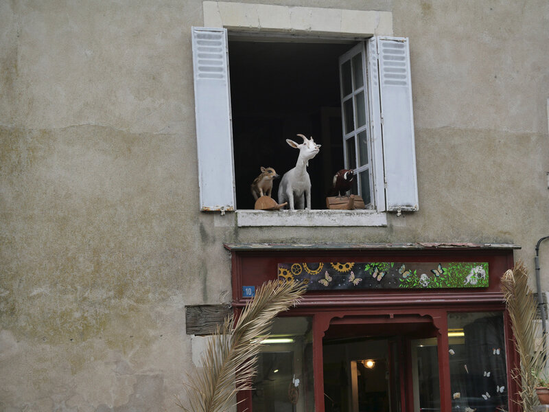 Vacances Vienne 7 Richelieu 082020 3 ym