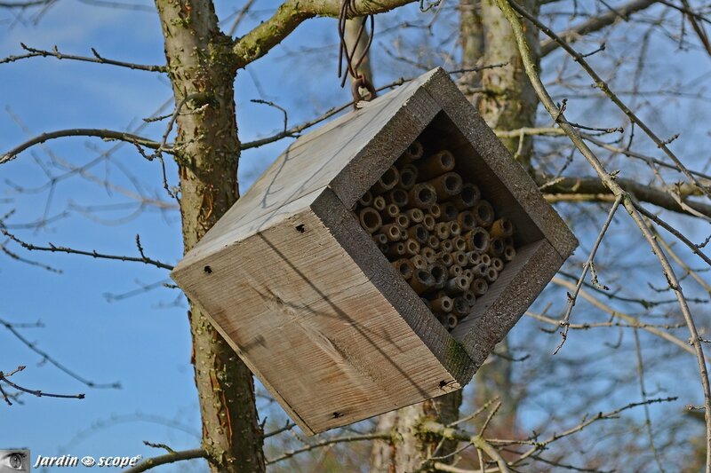 Maisonnette à insectes suspendue 