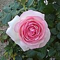 WP_20170530_008