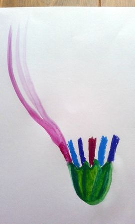 87_Fleurs_Fleurs en vase (51)