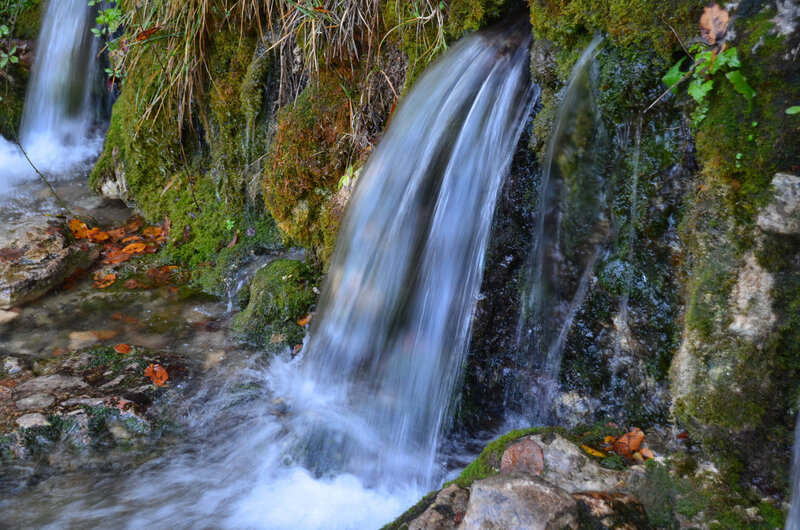 DSC_2415;