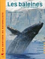 les-baleines-et-autres-rorquals-169402