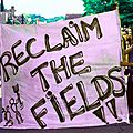 reclaim the fields