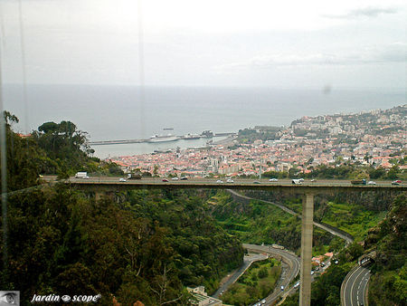 8704_Port_Funchal