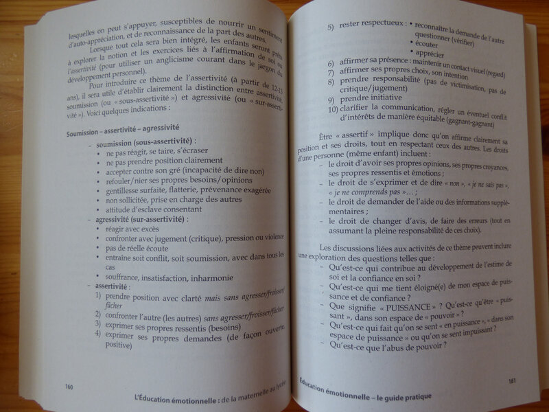 L'éducation émotionnelle (3)
