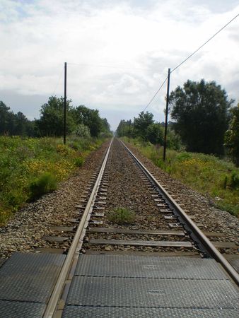 P3110122