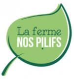 logo Pilifs
