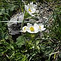 DSCN1683
