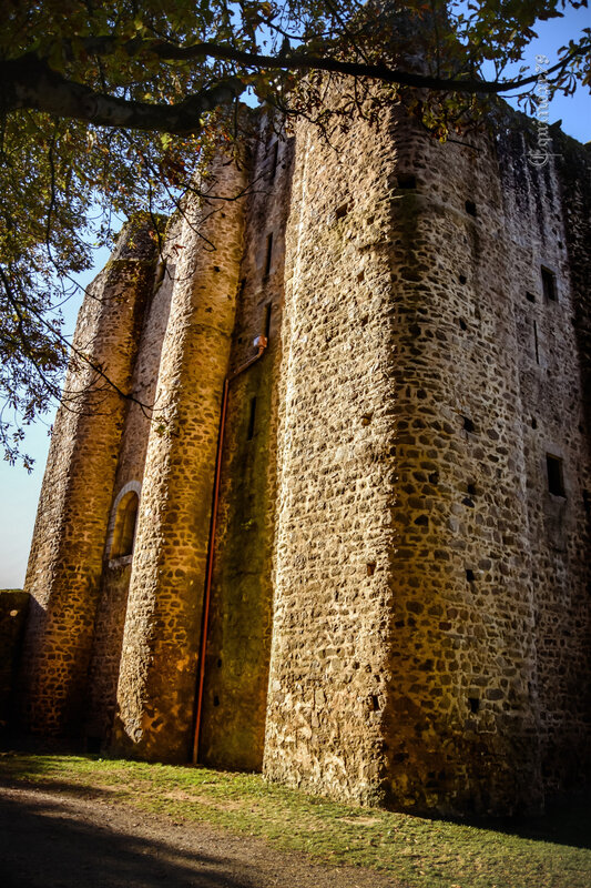 La baronnie de Pouzauges, son donjon de la famille de Thouars (29)