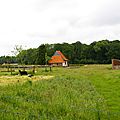 IMGP7134